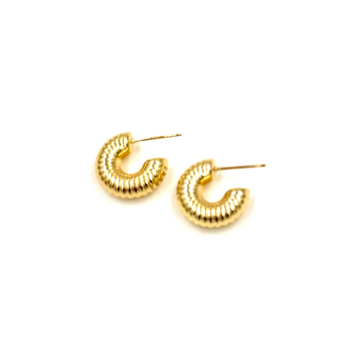 Ashley Gold Stainless Steel Mini Slinky Design Hoop Earrings