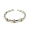 Ashley Gold Stainless Steel Spiral Design With Gold Plated 3 Bar CZ Bangle Bracelet