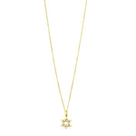 Ashley Gold Sterling Silver Gold Plated Floating CZ Star Necklace