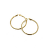 Ashley Gold Stainless Steel Gold Plated 2" Closed Back Hoop Earrings