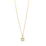Ashley Gold Sterling Silver Gold Plated Floating CZ Star Necklace
