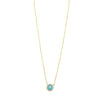 Ashley Gold Sterling Silver Gold Plated Enamel Circle CZ Necklace