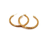 Ashley Gold Stainless Steel Gold Plated Thin Twist Design Hoop Earrings