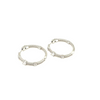 Ashley Gold Stainless Steel CZ Round Graduating Inside/Outside Hoop Earrings