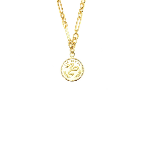 Ashley Gold Stainless Steel Gold Plated Snake Pendant Circle Link Necklace