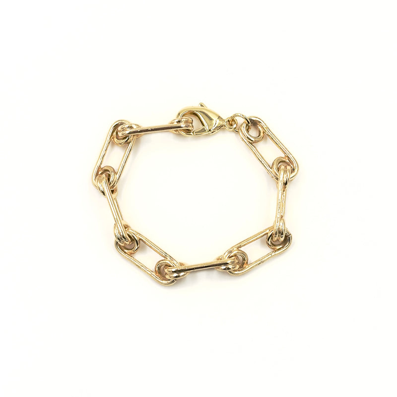 Ashley Gold Stainless Steel Gold Plated Spring Design Link Chain Bracelet