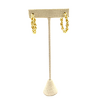 Ashley Gold Stainless Steel Gold Plated Twisted Rope Design Hoop Earrings