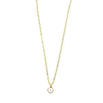 Ashley Gold Stainless Steel Gold Plated White Disc CZ Pendant Necklace