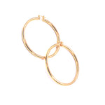 Ashley Gold Stainless Steel Gold Plated Large Hoop Earrings