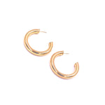 Ashley Gold Stainless Steel Gold Plated Chunky Hoop Earrings