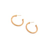 Ashley Gold Stainless Steel Gold Plated Diamond Cut Hoop Earrings