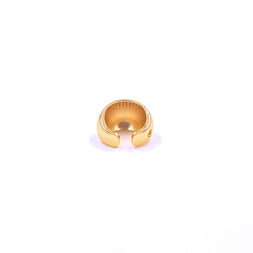 Ashley Gold Stainless Steel Gold Plated Adjustable CZ Dome Ring