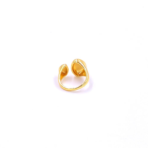 Ashley Gold Stainless Steel Gold Plated Double Teardrop Adjustable Ring