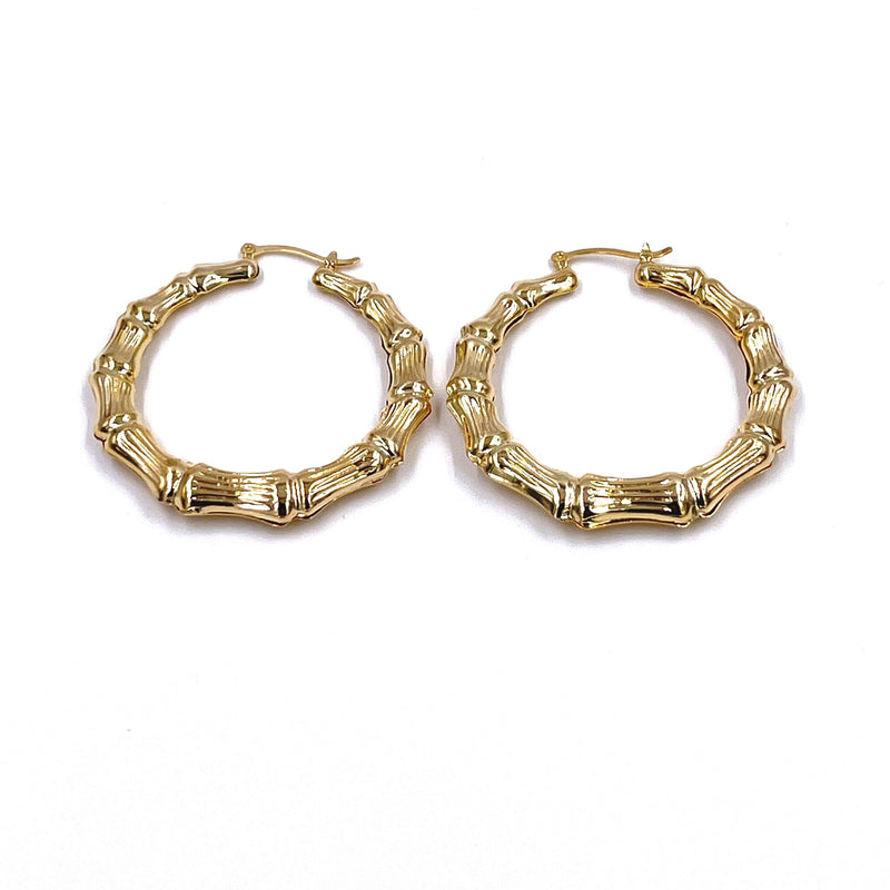 Ashley Gold Stainless Steel Gold Plated Puff Line Design Hoop Earrings