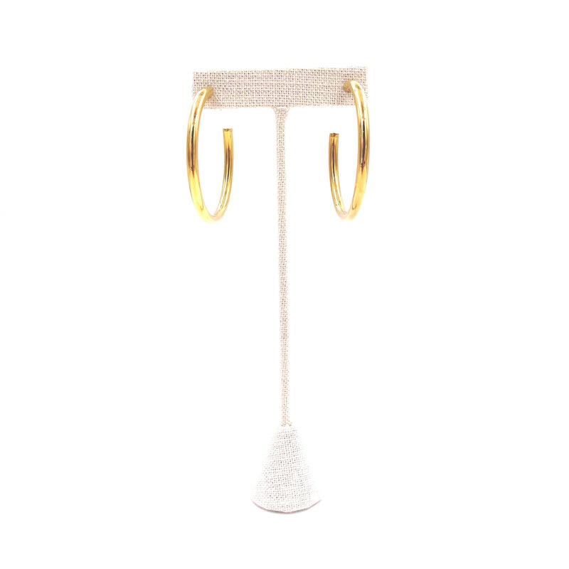 Ashley Gold Stainless Steel Gold Plated  Hoop Earrings